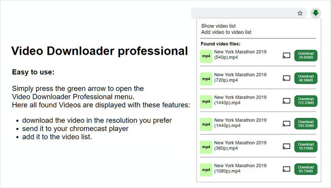 Video Downloader Professional