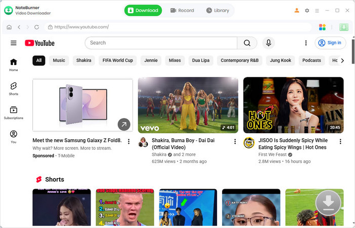 YouTube Platform Interface